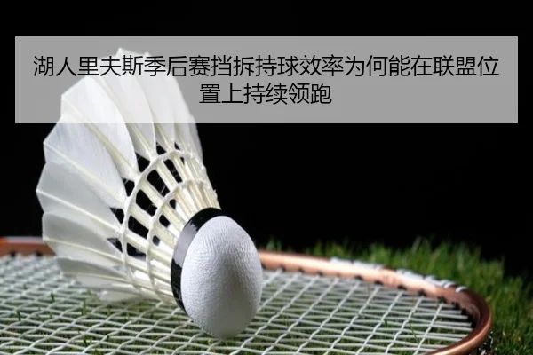 湖人里夫斯季后赛挡拆持球效率为何能在联盟位置上持续领跑